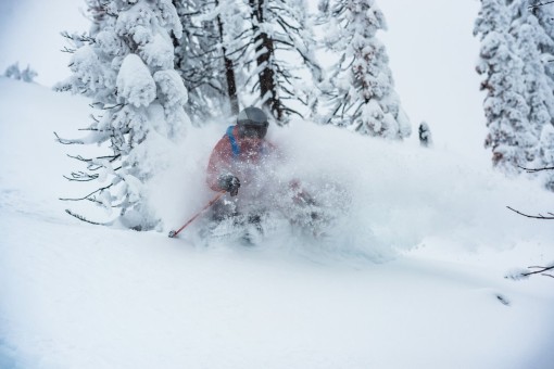 Blower powder at Silvertip Lodge