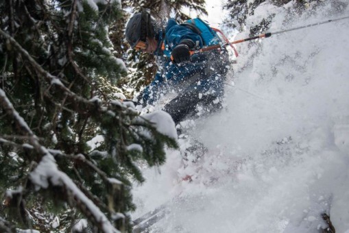 Tree skiing
