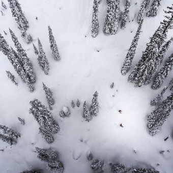 A bird's eye view