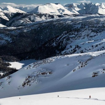 Untracked Powder, Unlimited Vertical and Unlimited Experience!