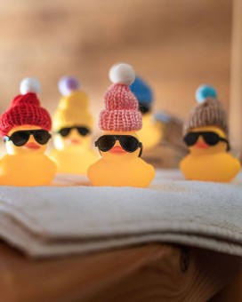 ducks