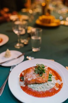 salmon