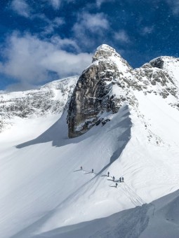 022022Tbromley_Silvertip-196