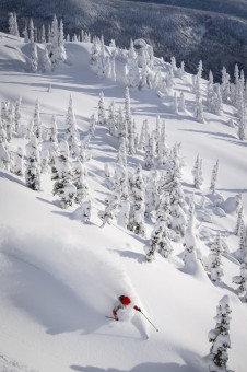 Mark Abma Heli-Skiing Silvertip 2025-5