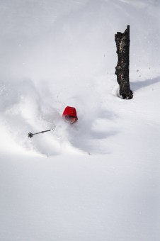 Mark Abma Heli-Skiing Silvertip 2025-8